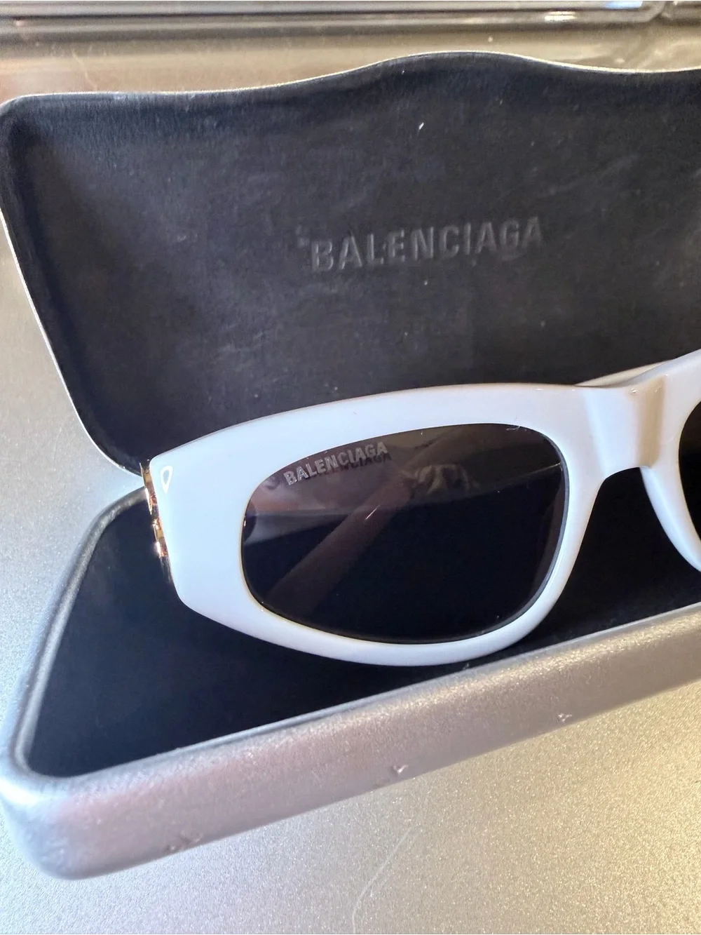 Balenciaga sleek cat
